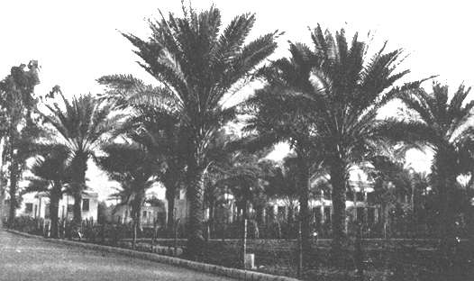 Ridvan Garden